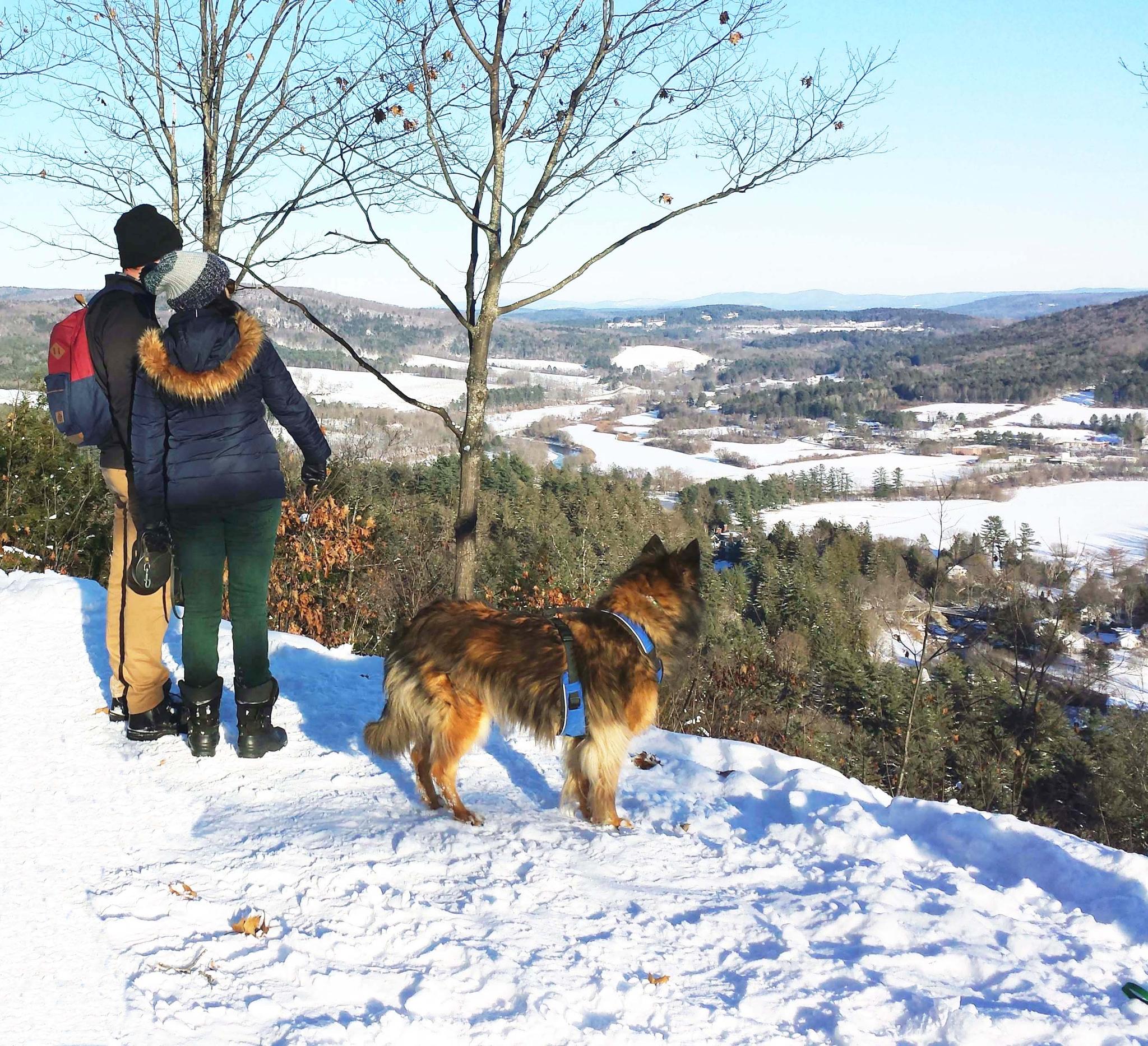 Two people and a dog admire a sunny, snowy winter valley view.