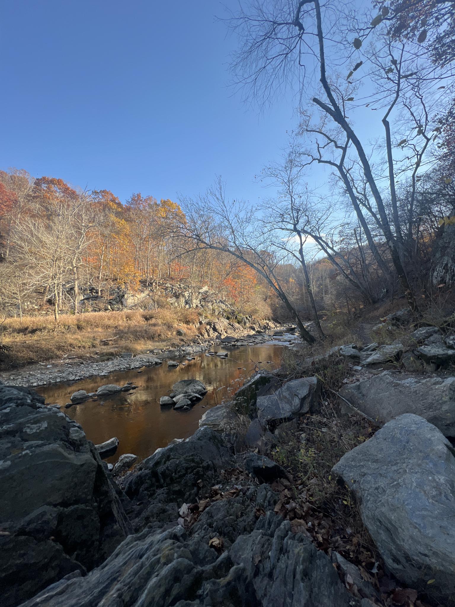 Rocky riverbank overlooks a river with autumn trees under a clear blue sky.