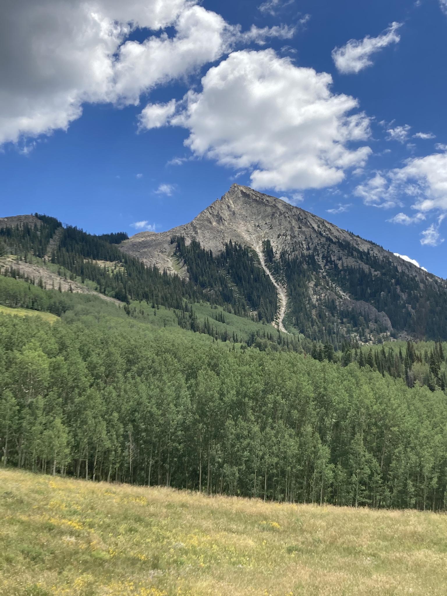 Towering mountain peak above a vibrant green forest under a blue sky.