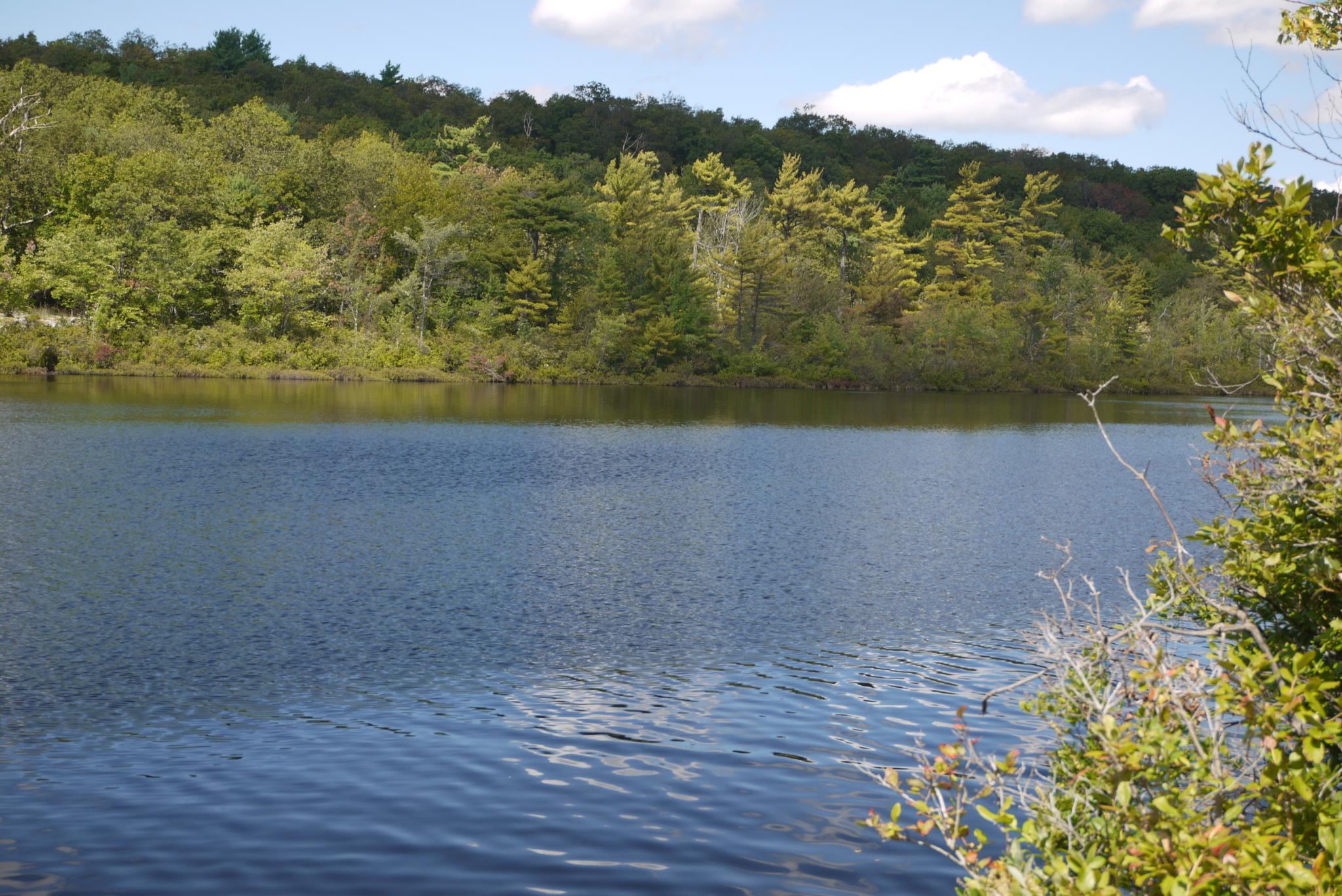 A calm lake with a forested shoreline under a bright, cloudy sky.