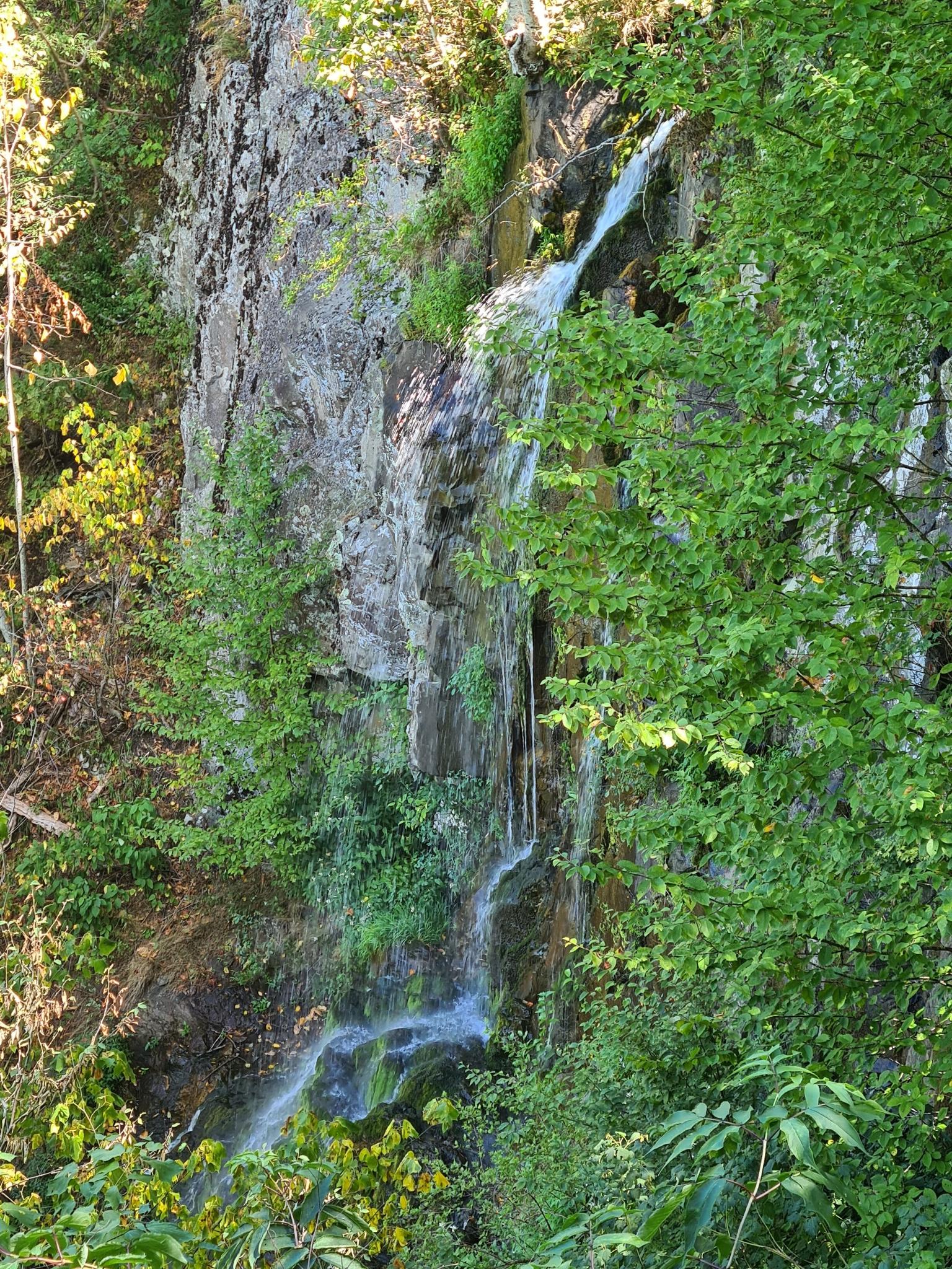 A narrow waterfall cascades down a rocky cliff surrounded by green trees.