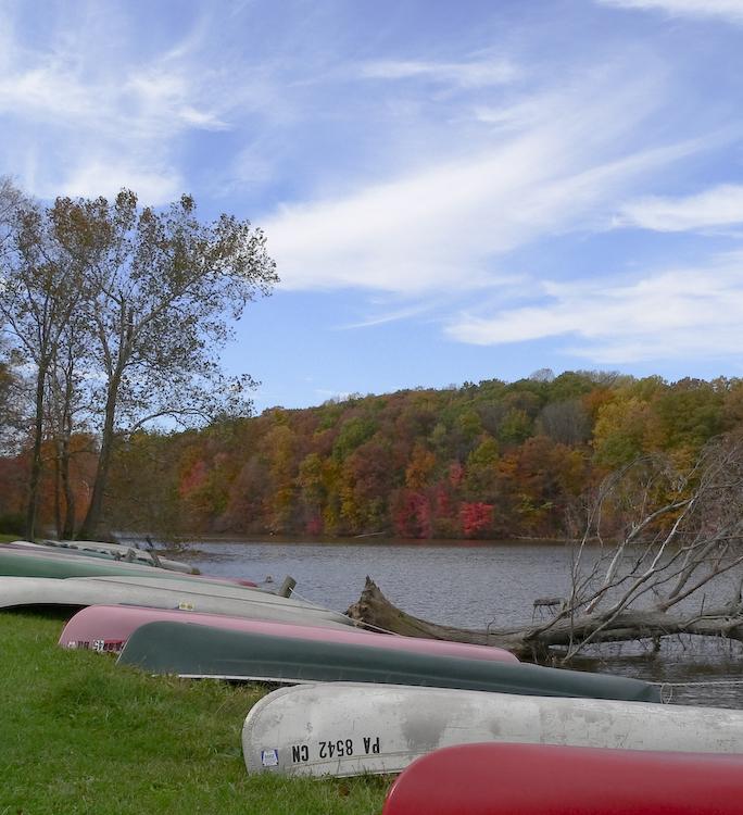 Colorful canoes lined on grass by a lake with autumn trees.