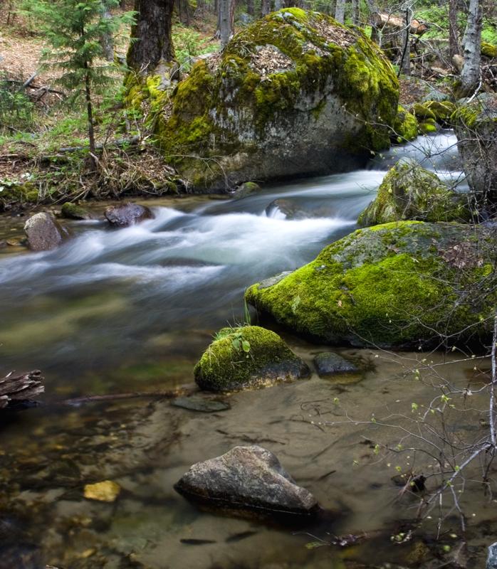 Long exposure of a stream cascading over moss-covered rocks in a forest.