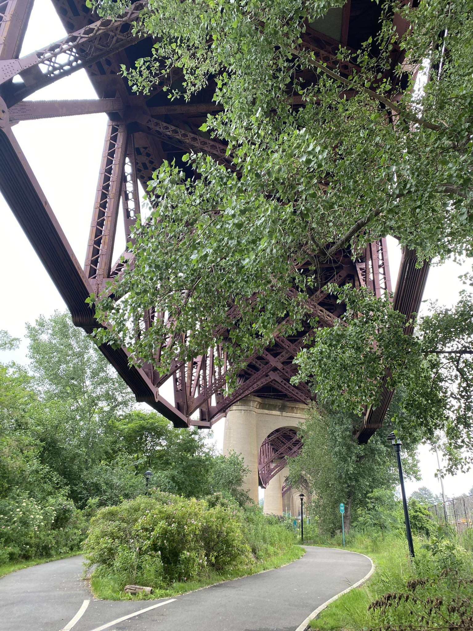 Paved path under a large metal bridge, surrounded by green trees.