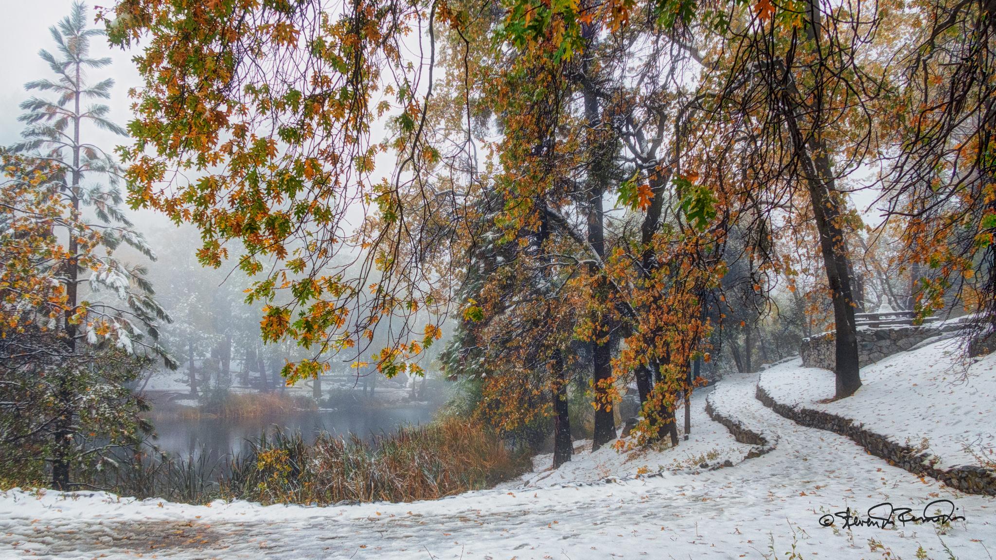 Snowy landscape with autumn trees, a winding path, and a misty lake.