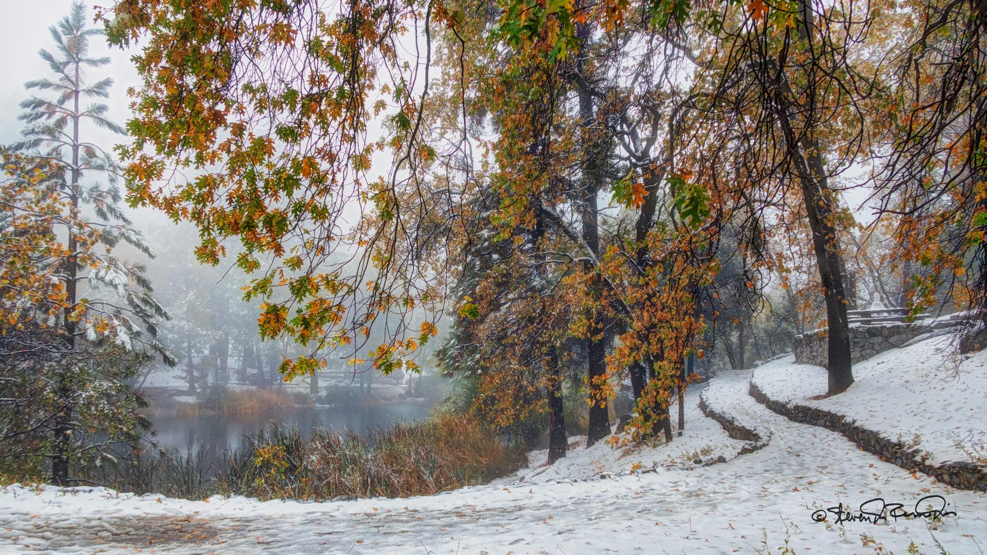 Snowy landscape with autumn trees, a winding path, and a misty lake.