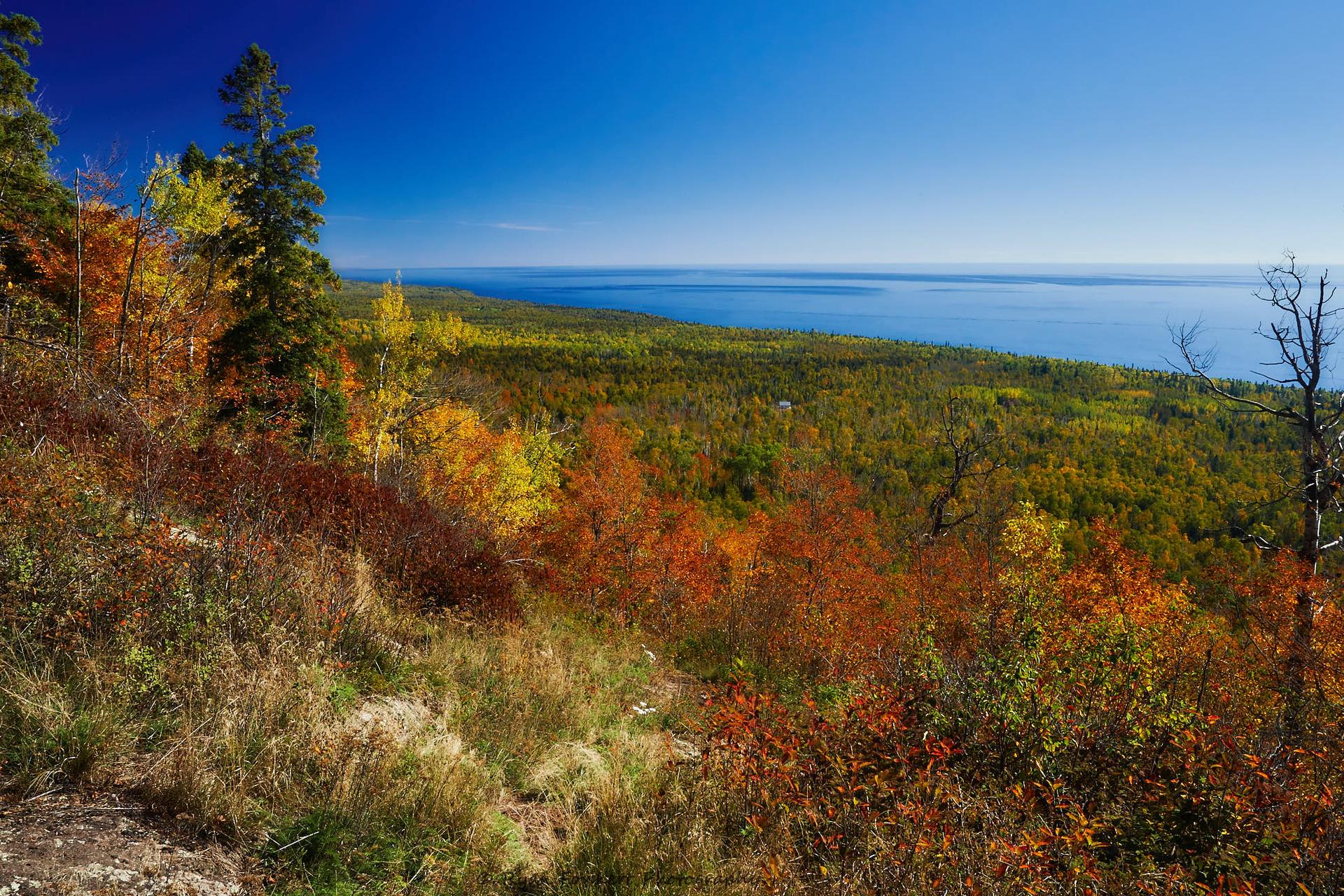 Bright autumn hillside overlooking a vast blue body of water under clear skies.