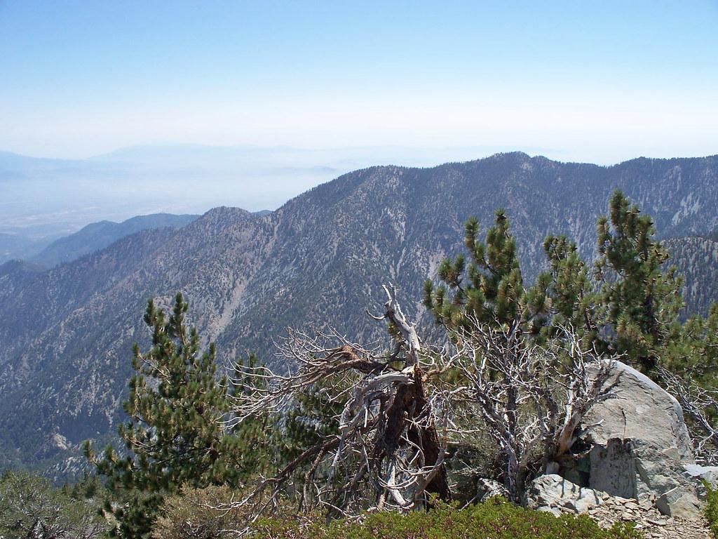 Distant mountain ranges under a clear sky with pine trees in foreground.