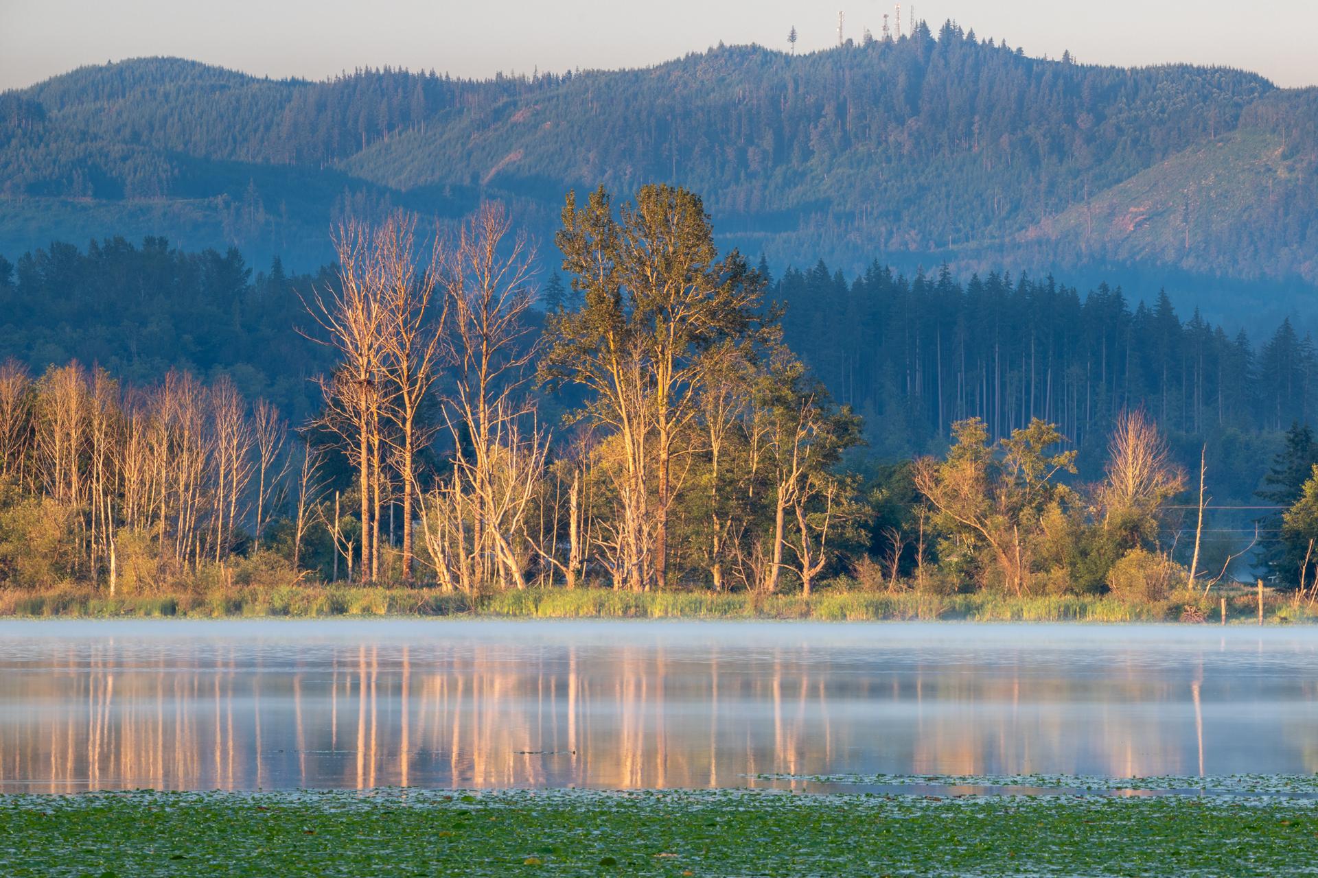 Misty lake reflecting trees, with forested mountains in the background at sunrise.