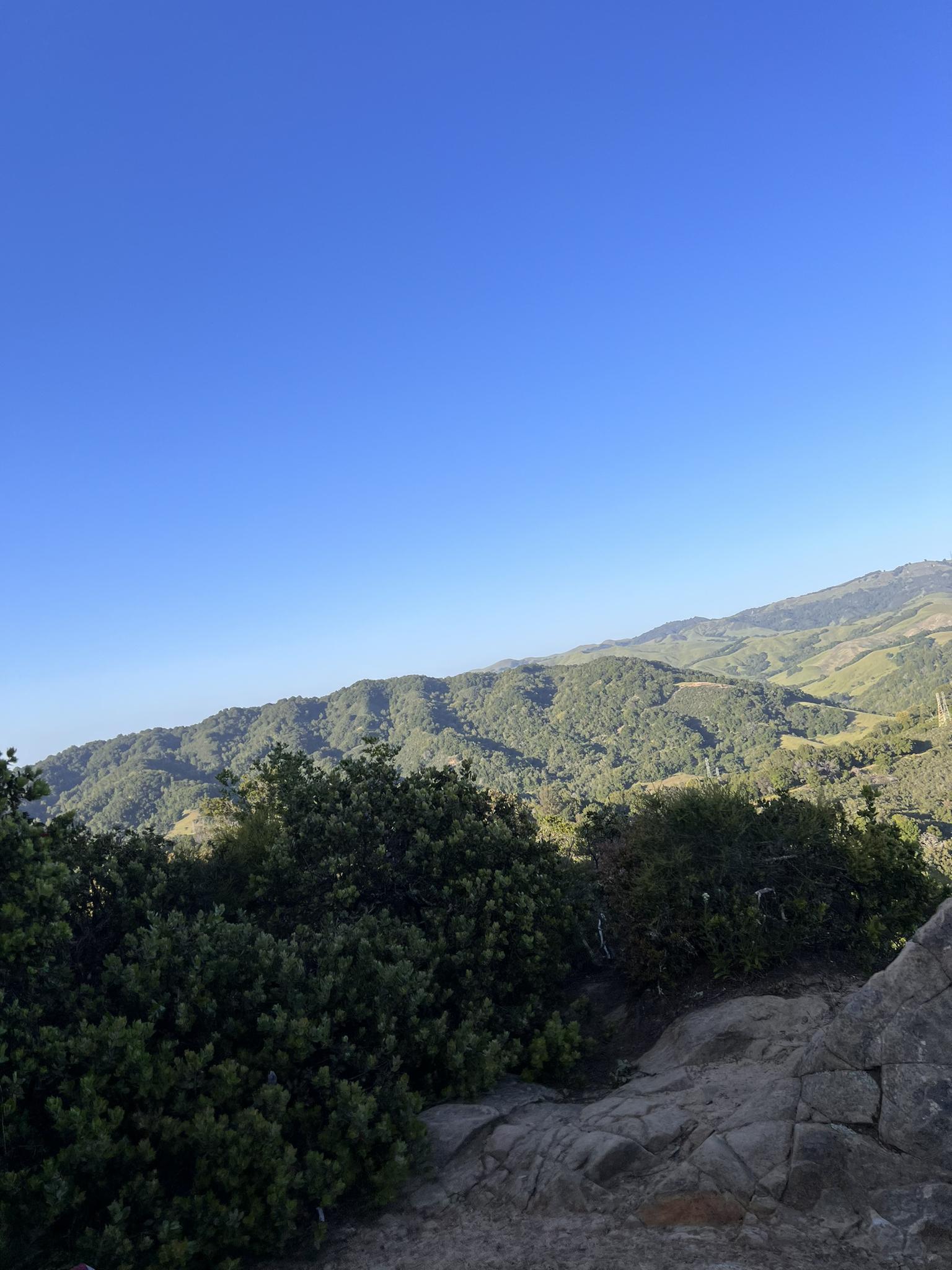 Sunny view of lush green hillsides and a clear blue sky.