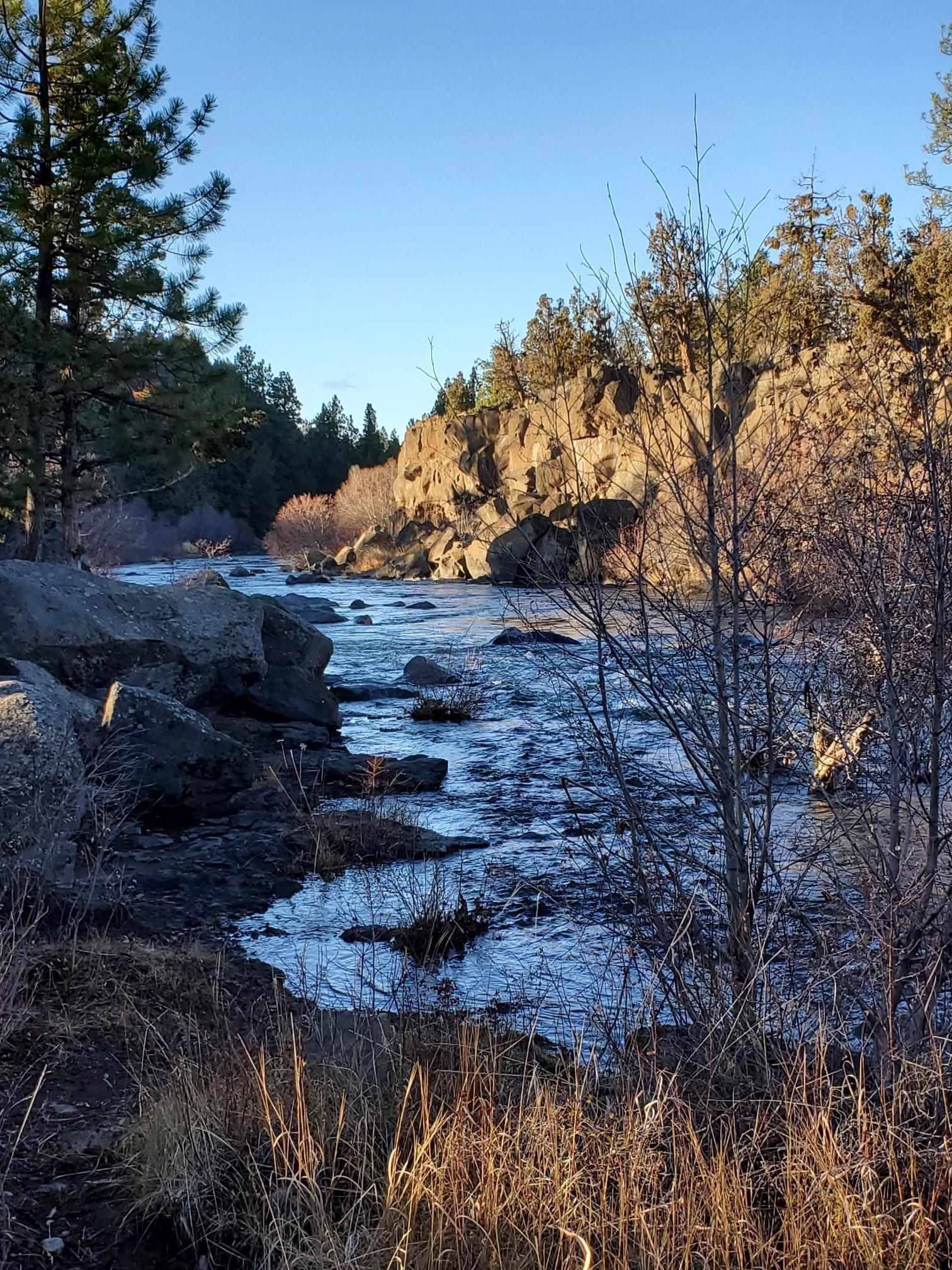 Sunny river scene with rocky banks, pine trees, and dry grass.