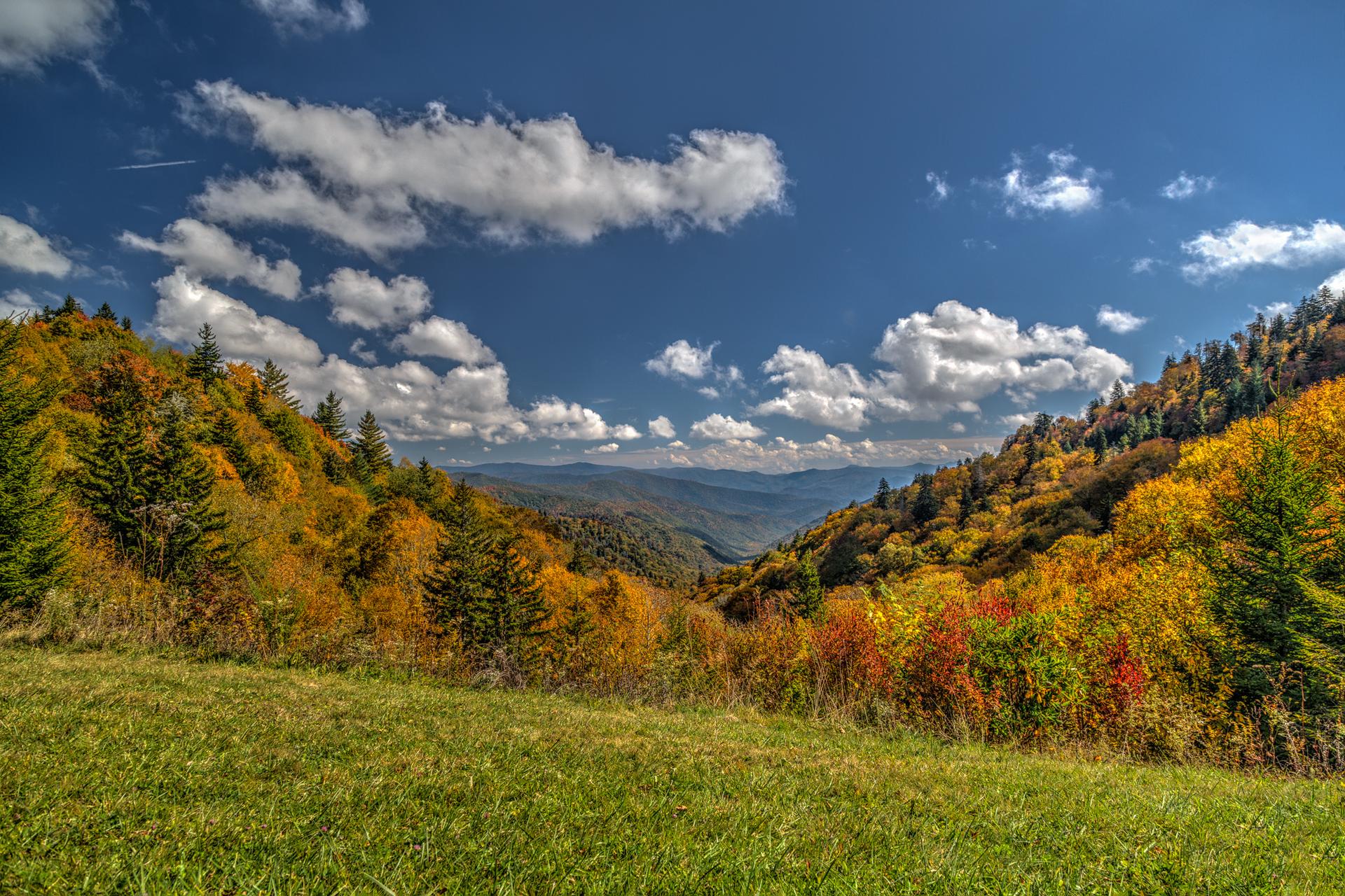 Autumn mountainside with colorful trees and a bright blue sky.