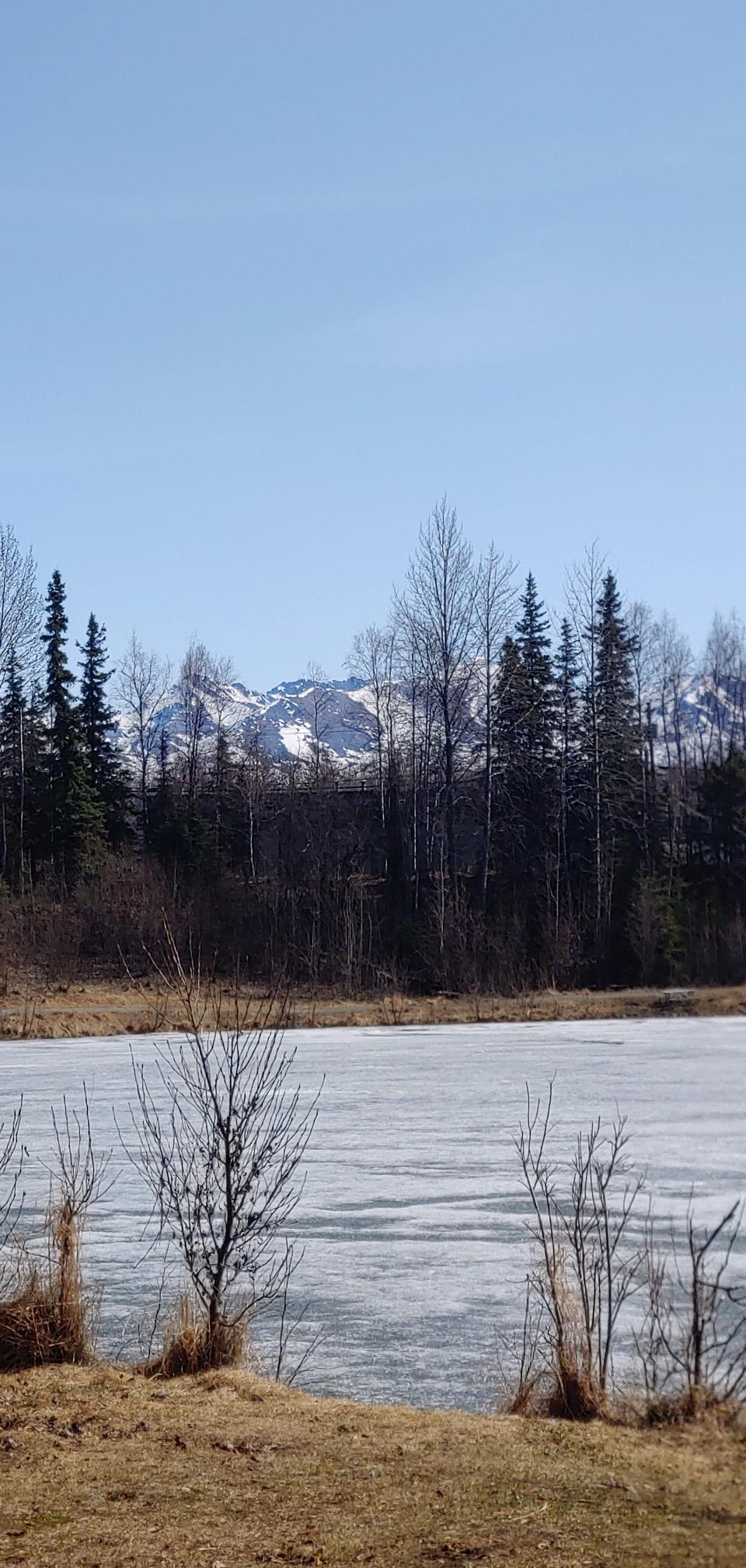 Partially frozen lake with bare trees and snow-capped mountains under a clear sky.