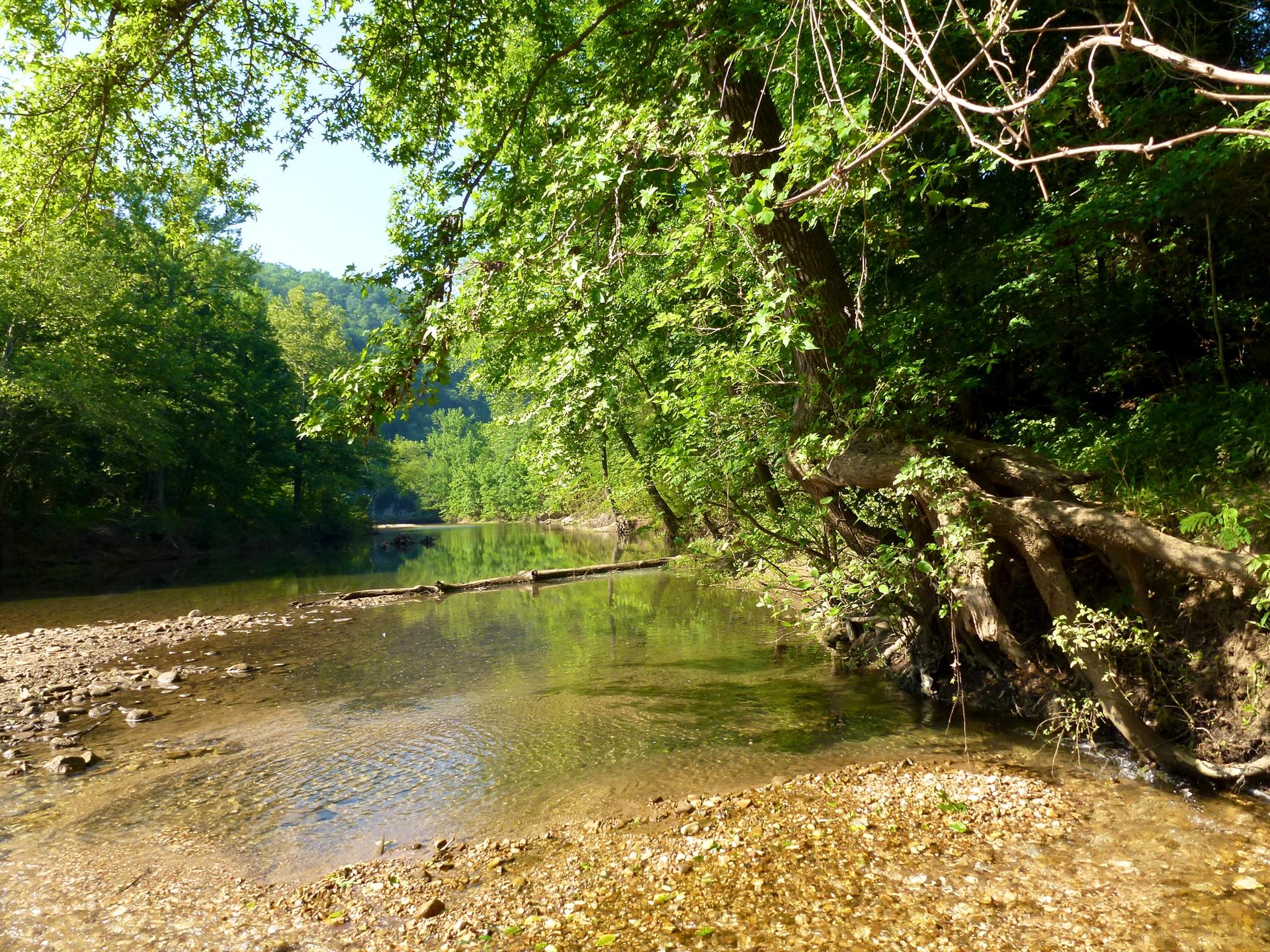 A shallow, clear river flows past lush green trees and a rocky bank.