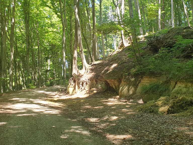 sehr steiler Aufstieg (Schotterweg): Radtouren und Radwege | komoot