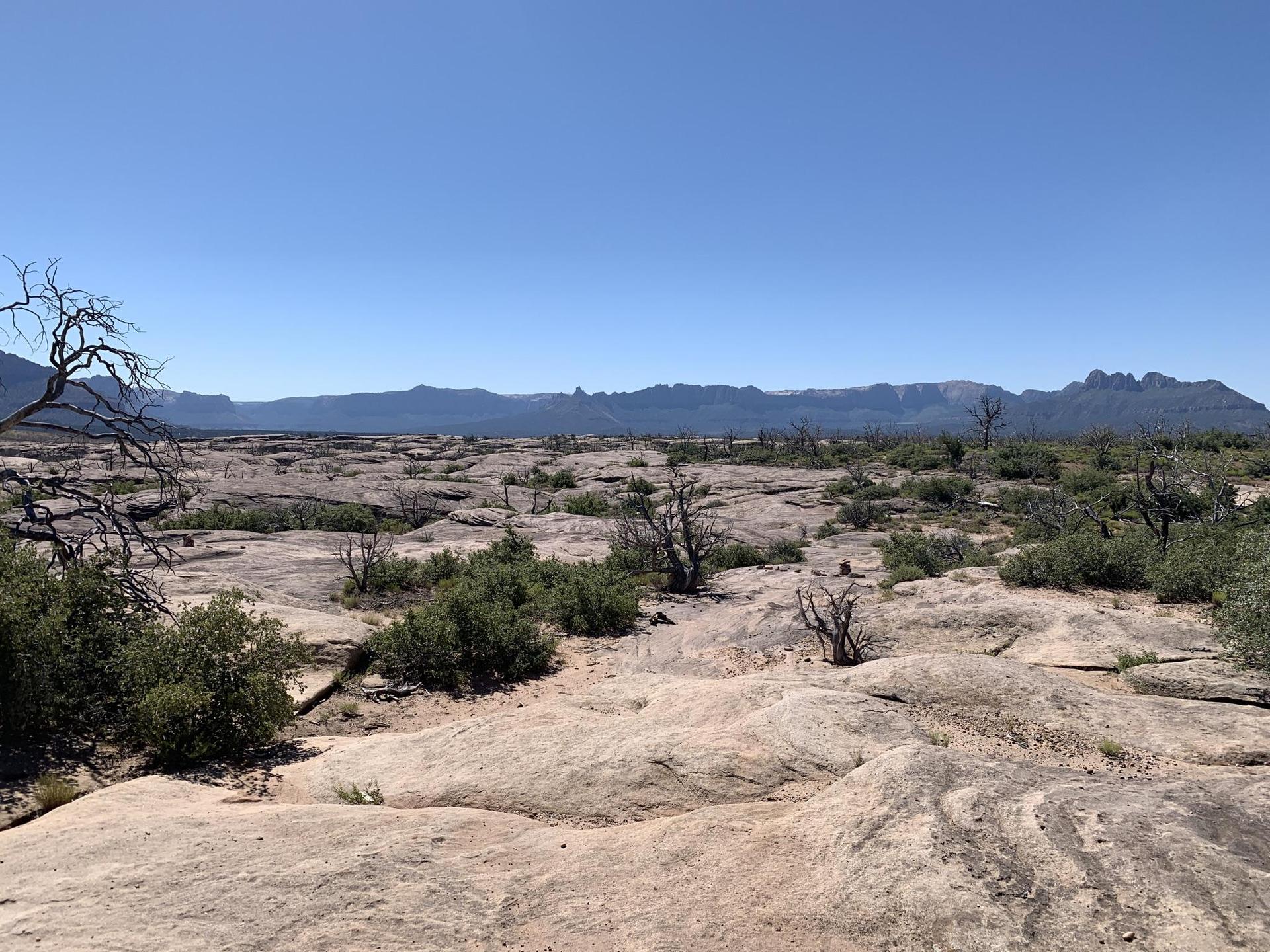 Sunny desert landscape with rocky ground, sparse bushes, and distant mountains.