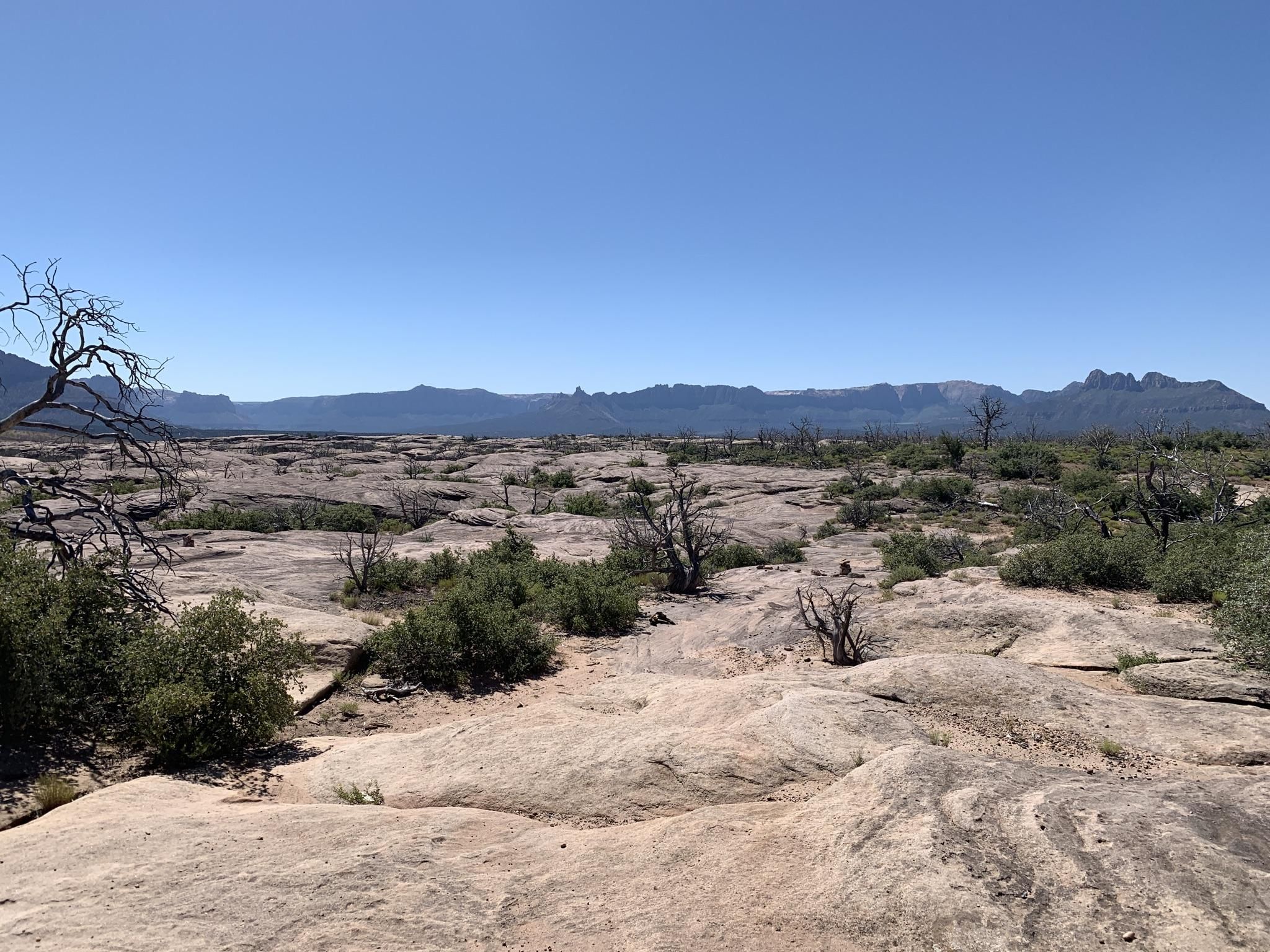 Sunny desert landscape with rocky ground, sparse bushes, and distant mountains. - Margarita and Guacamole Trail Loop