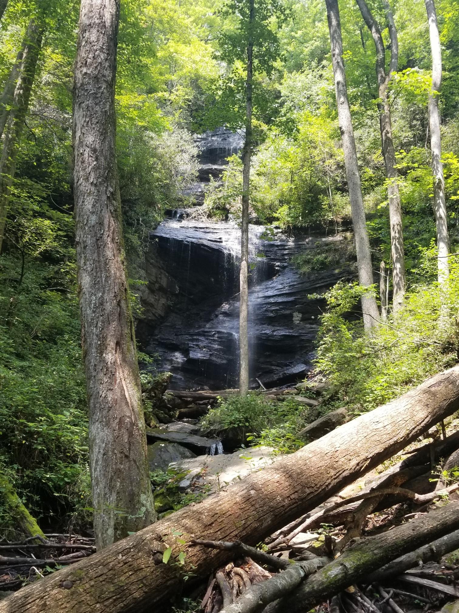 Waterfall cascades down a rocky face in a sun-dappled, dense forest.