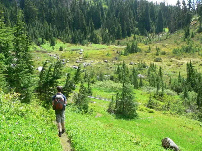 A hiker walks a dirt path through a lush green valley on a sunny day.