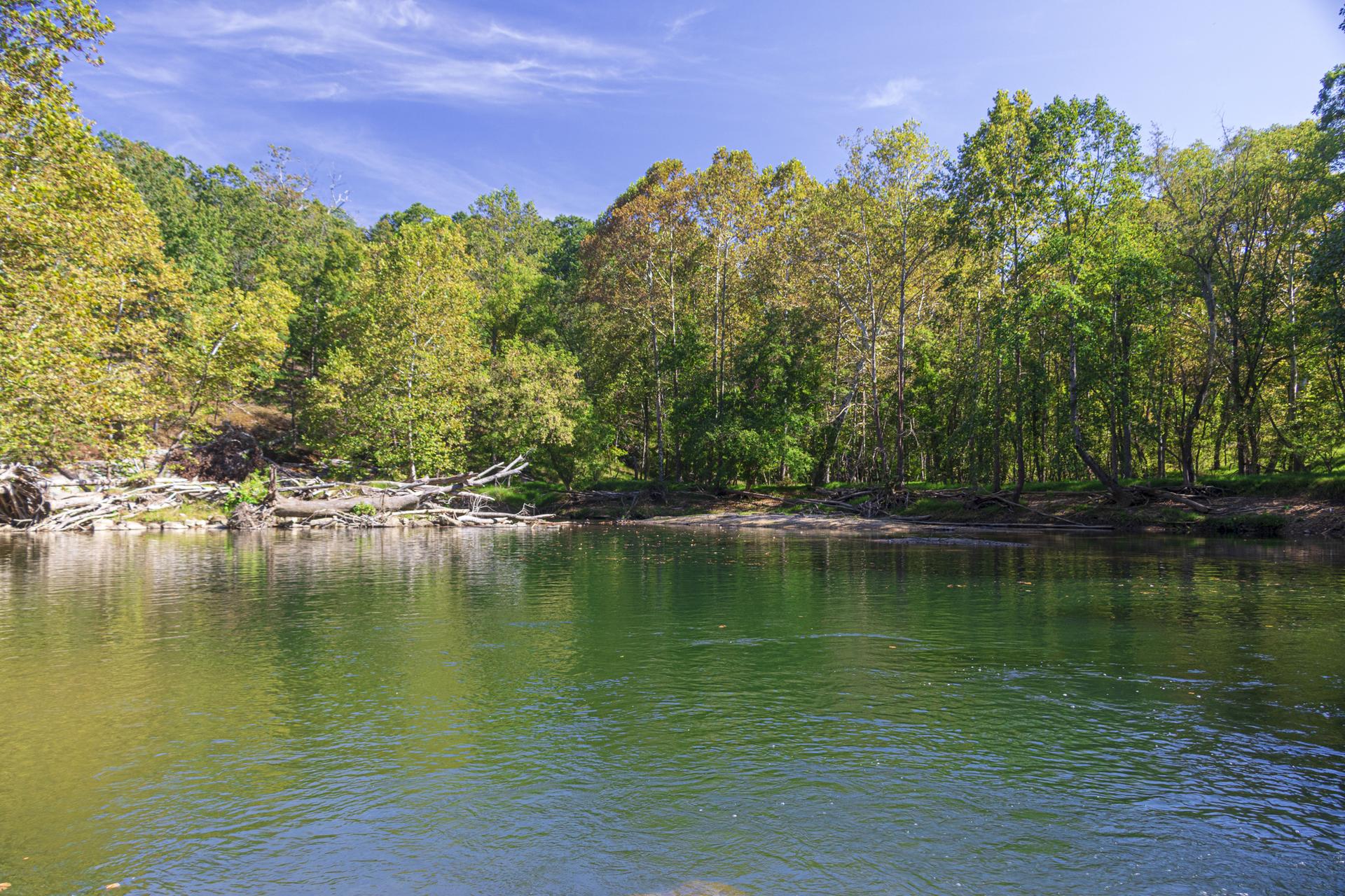 A wide, calm river flows past a dense green forest under blue sky.