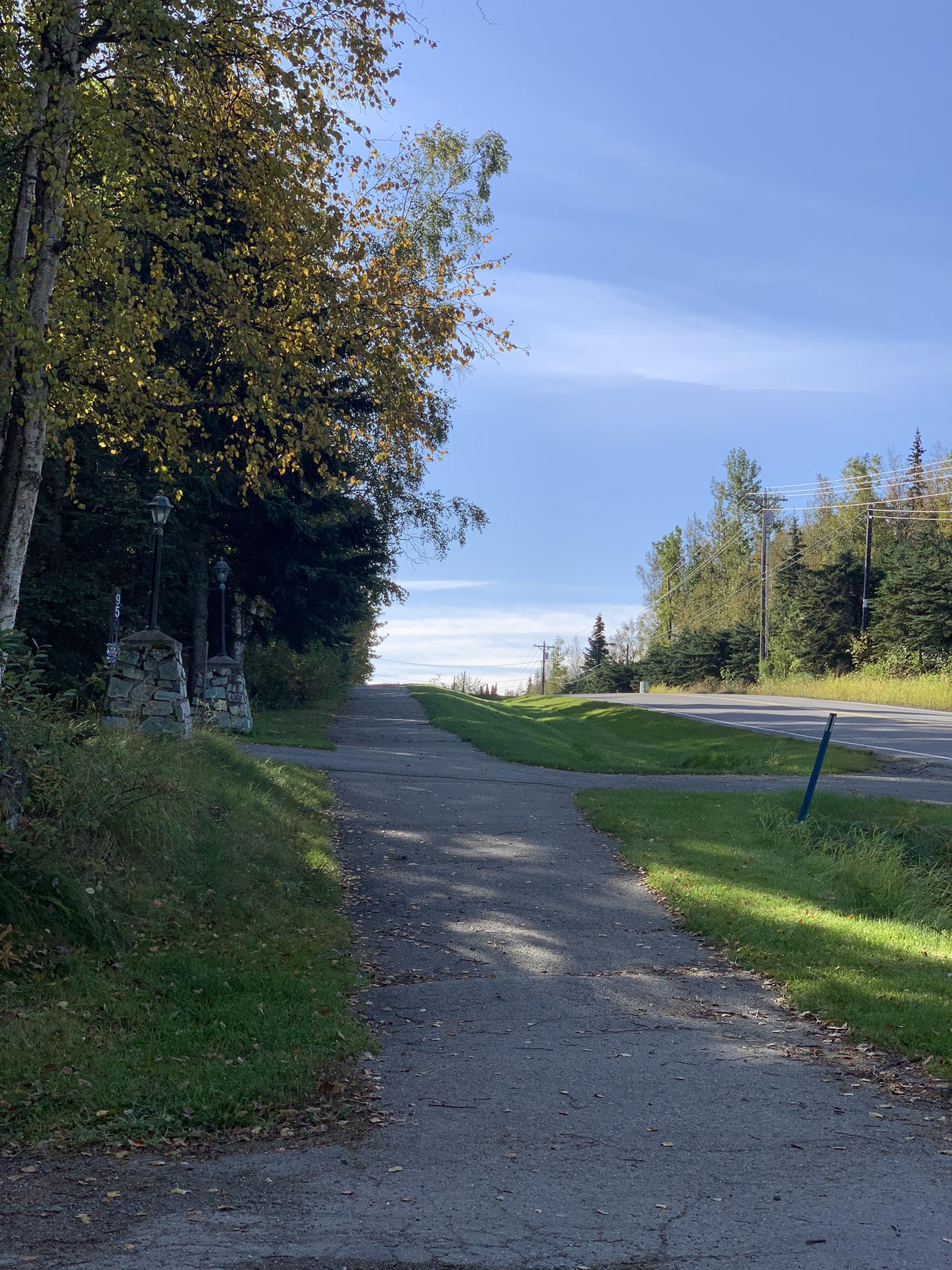 Paved path alongside a road, lined with trees under a bright sky.