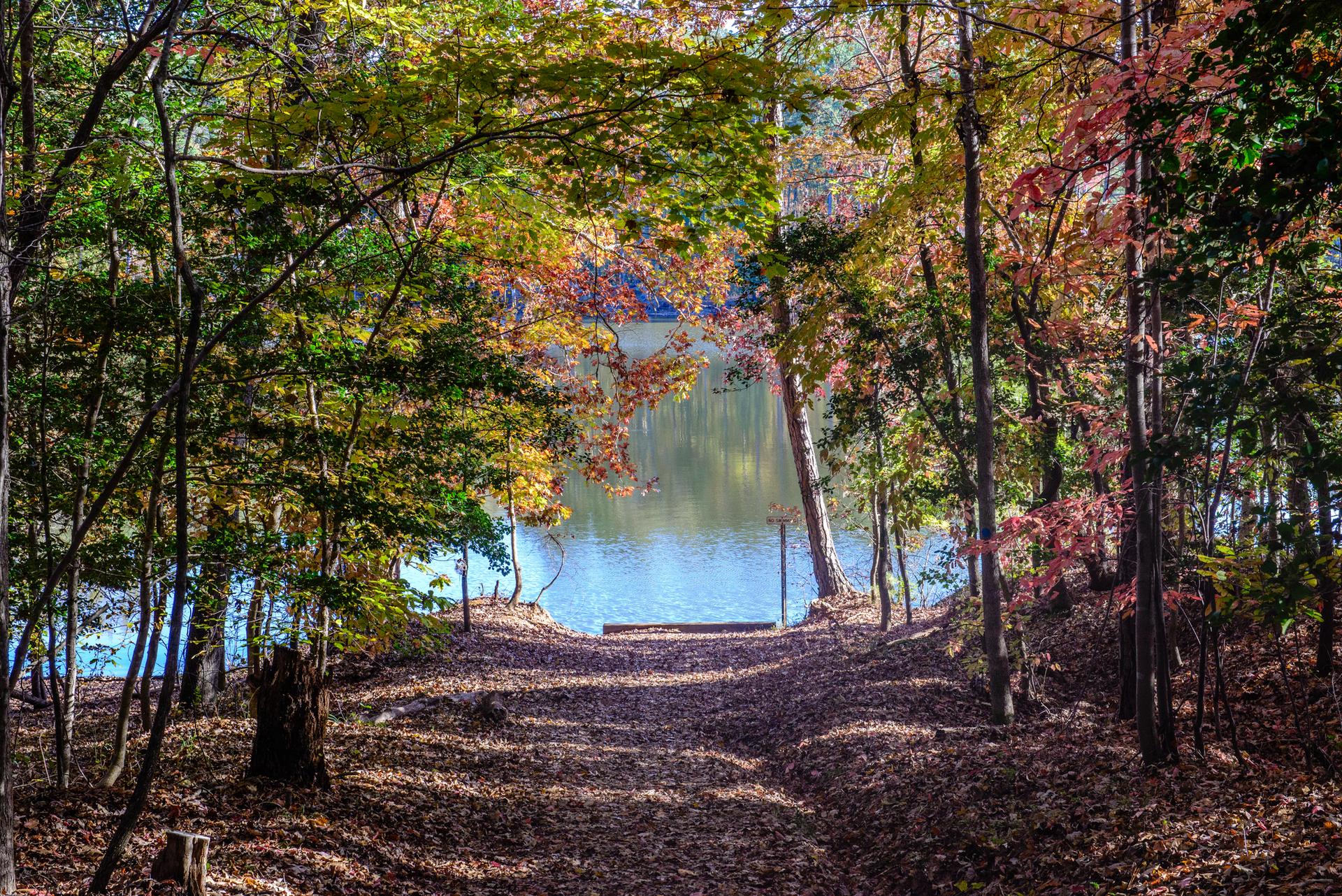 Autumn trees frame a sunlit path descending to a tranquil body of water.