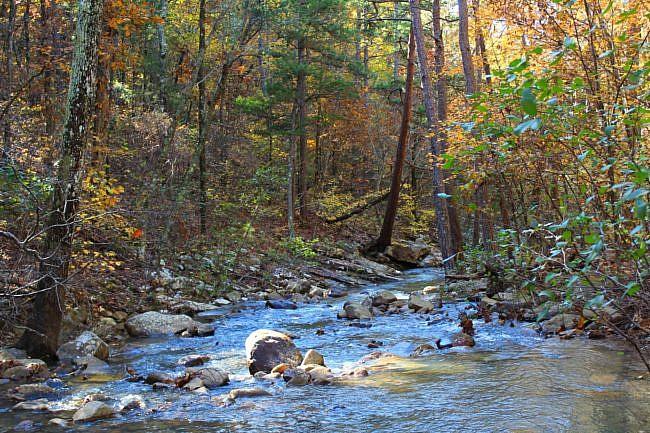 Sunlit stream winding through a vibrant autumn forest with colorful trees.
