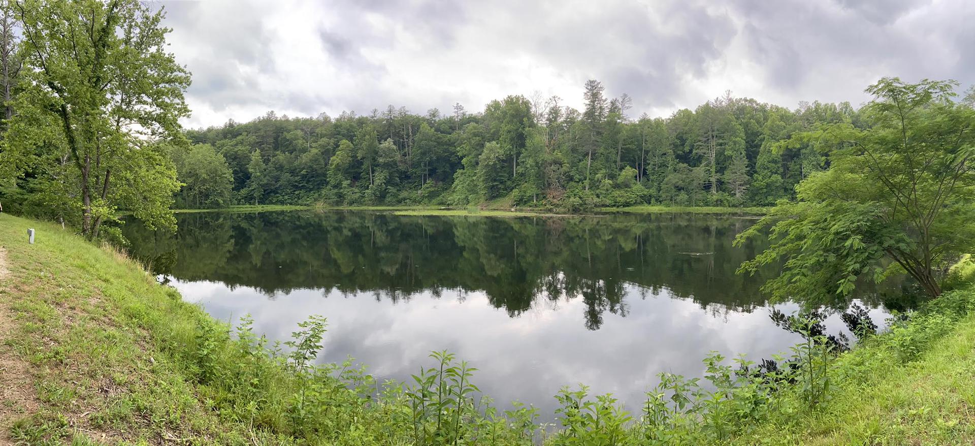 A panoramic view of a calm lake reflecting a cloudy sky and green trees.