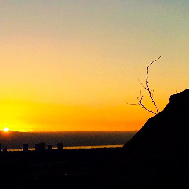 Vibrant sunset over water, silhouetting a city and a hill with bare branches.