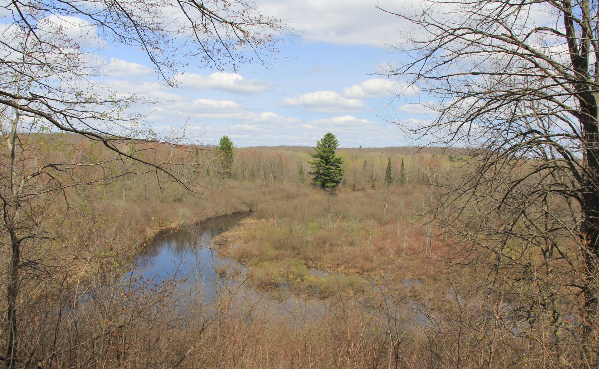 A winding river flows through a wide valley with bare trees.