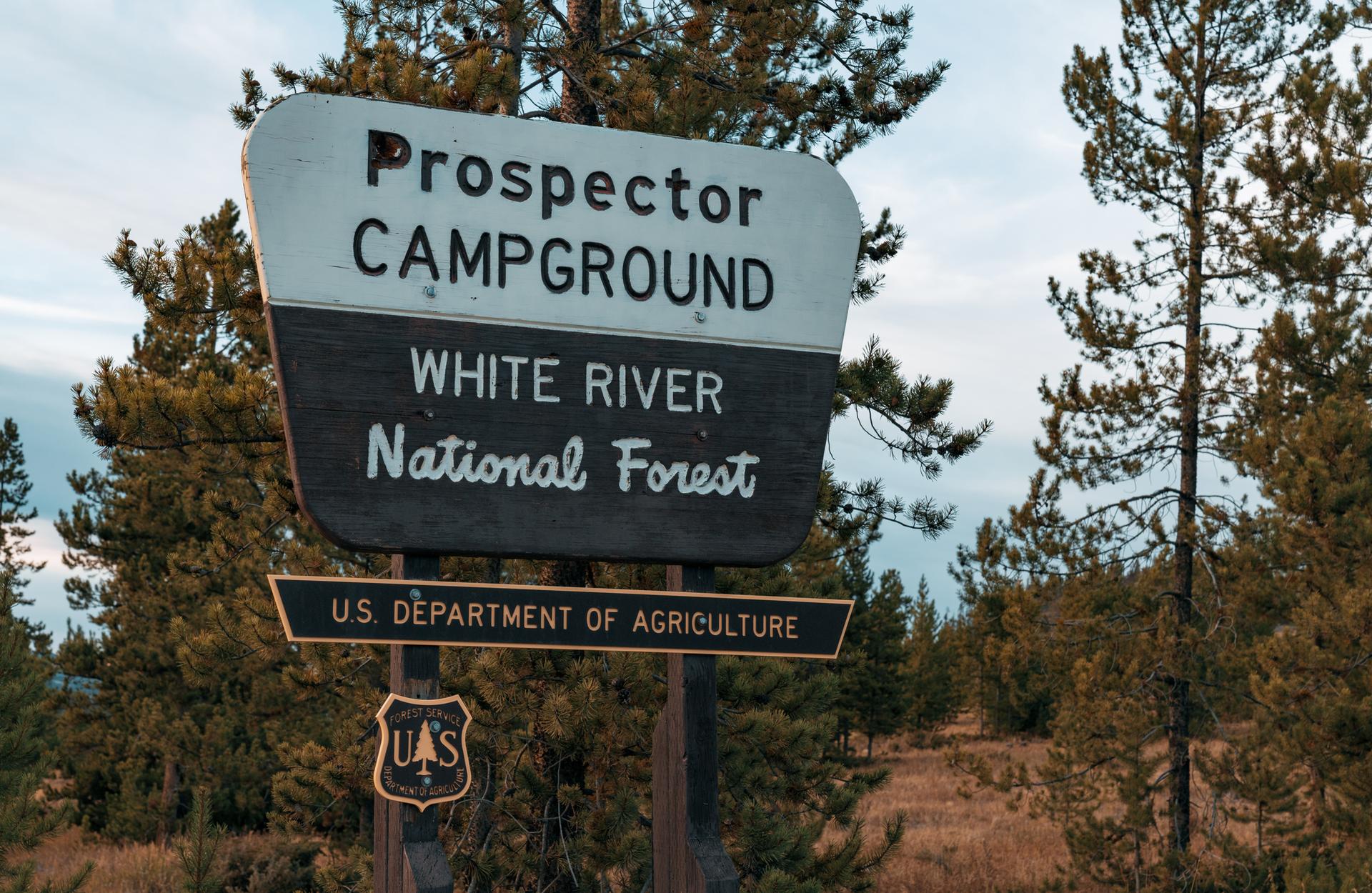 A weathered wooden sign for a campground stands among pine trees under a cloudy sky.