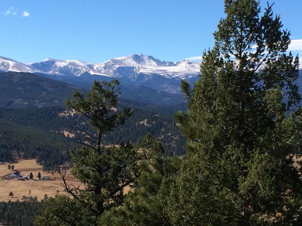Pine trees framing a view of snow-capped mountains under a clear sky.