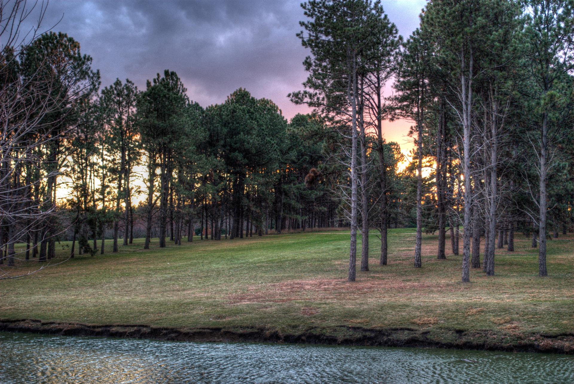 Pine trees line a grassy field next to water under a cloudy sunset sky.