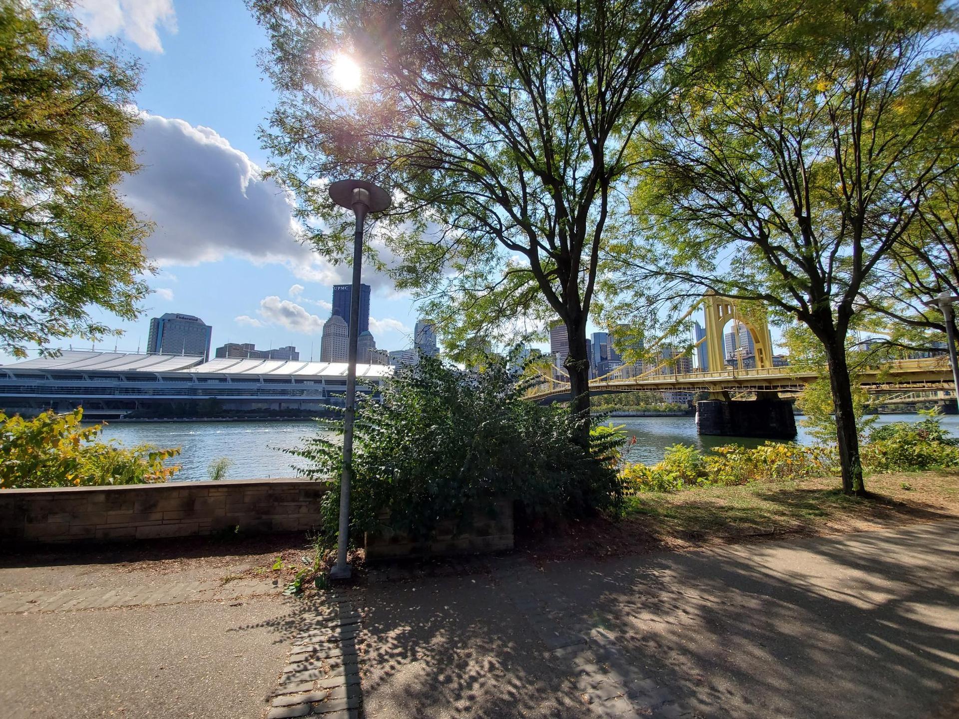 Sunny park path with trees, river, and a distant city bridge.
