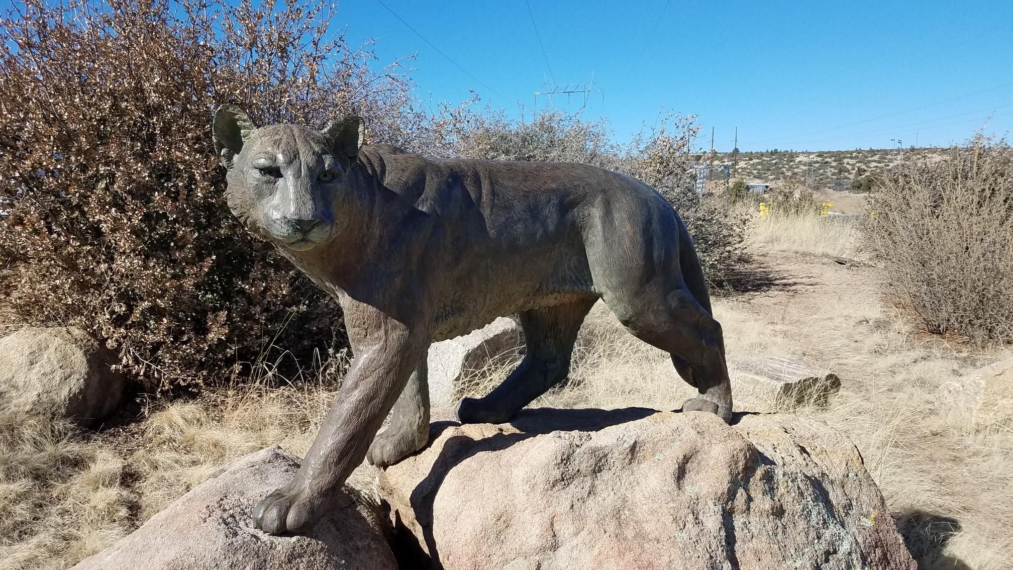 Bronze mountain lion statue on rocks under a bright blue sky. - Pioneer Park Loop