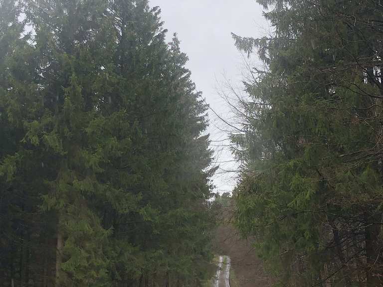 Ein steiler Anstieg, der sich aber lohnt: Wanderungen und Rundwege | komoot