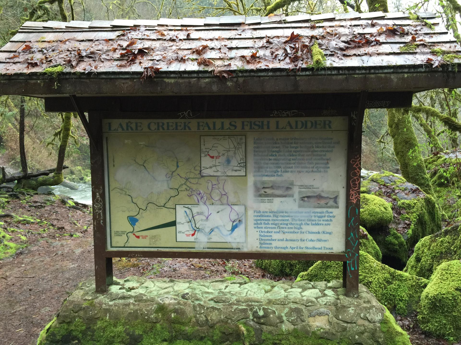 An informational sign with a wooden roof stands in a mossy forest.