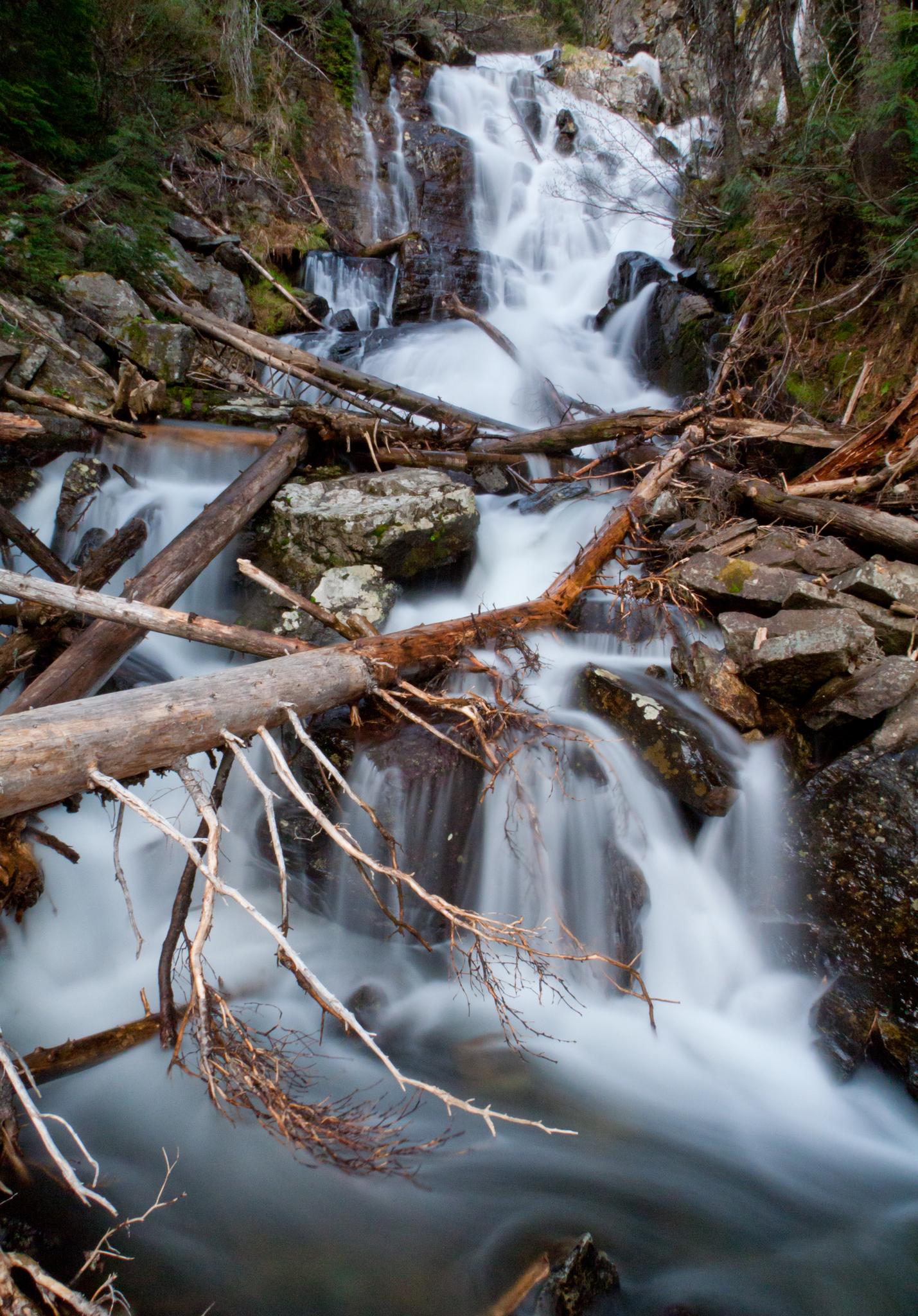 A long exposure waterfall cascades over rocks and fallen logs in a forest.