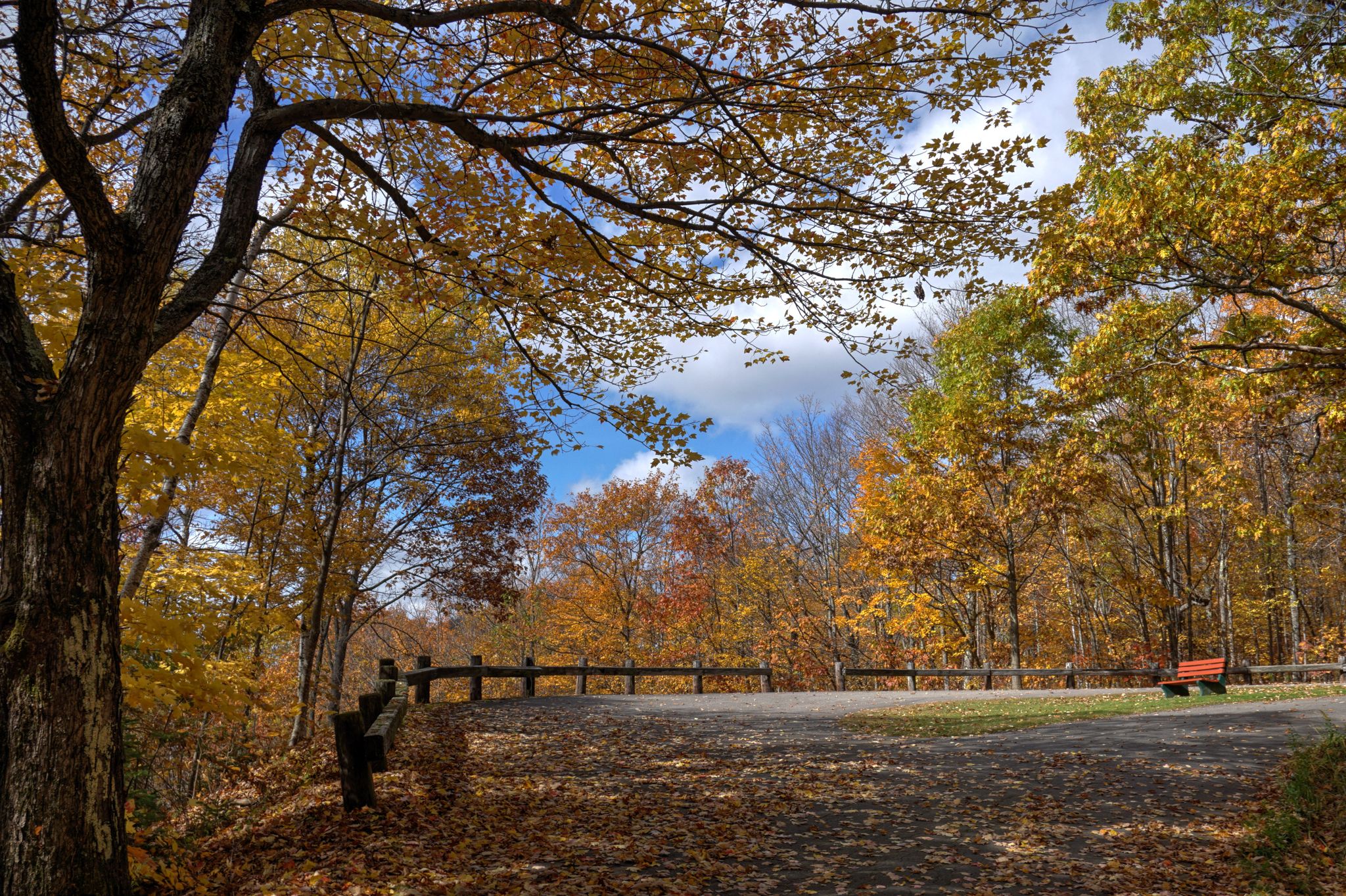 Autumn forest with vibrant fall foliage, a path covered in leaves, and an empty bench. - Prospect Mountain via Weeks State Park Road