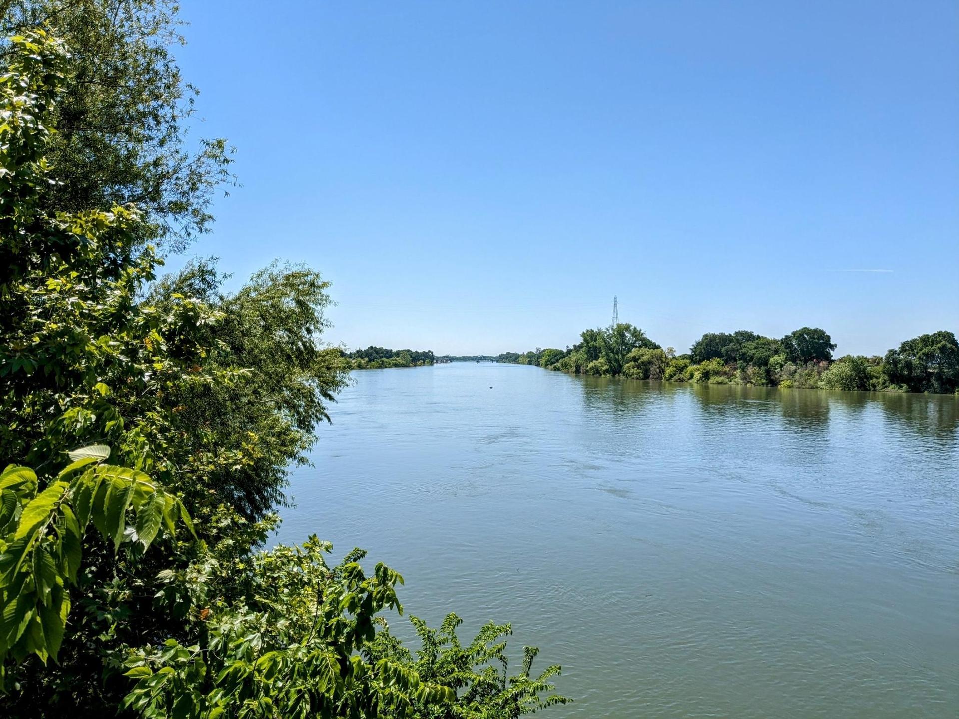 Wide river flowing under a clear blue sky, flanked by green trees.