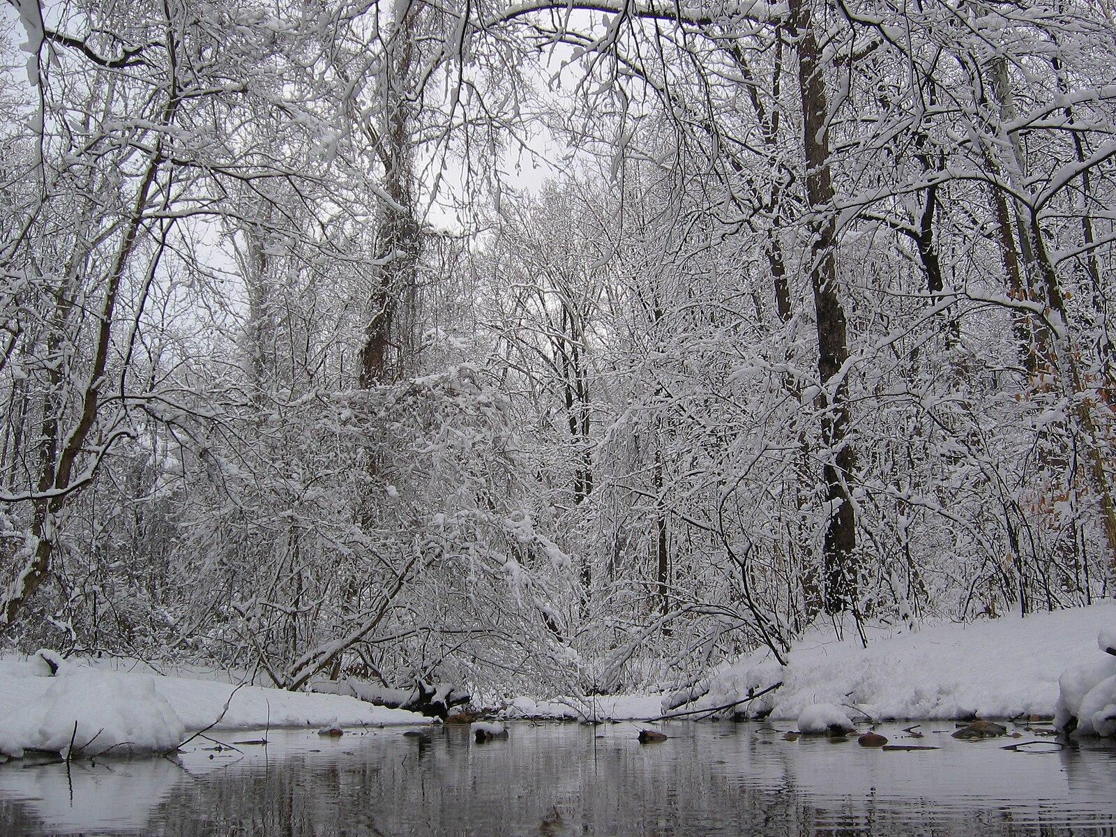 A snow-covered forest surrounds a dark stream on an overcast day.