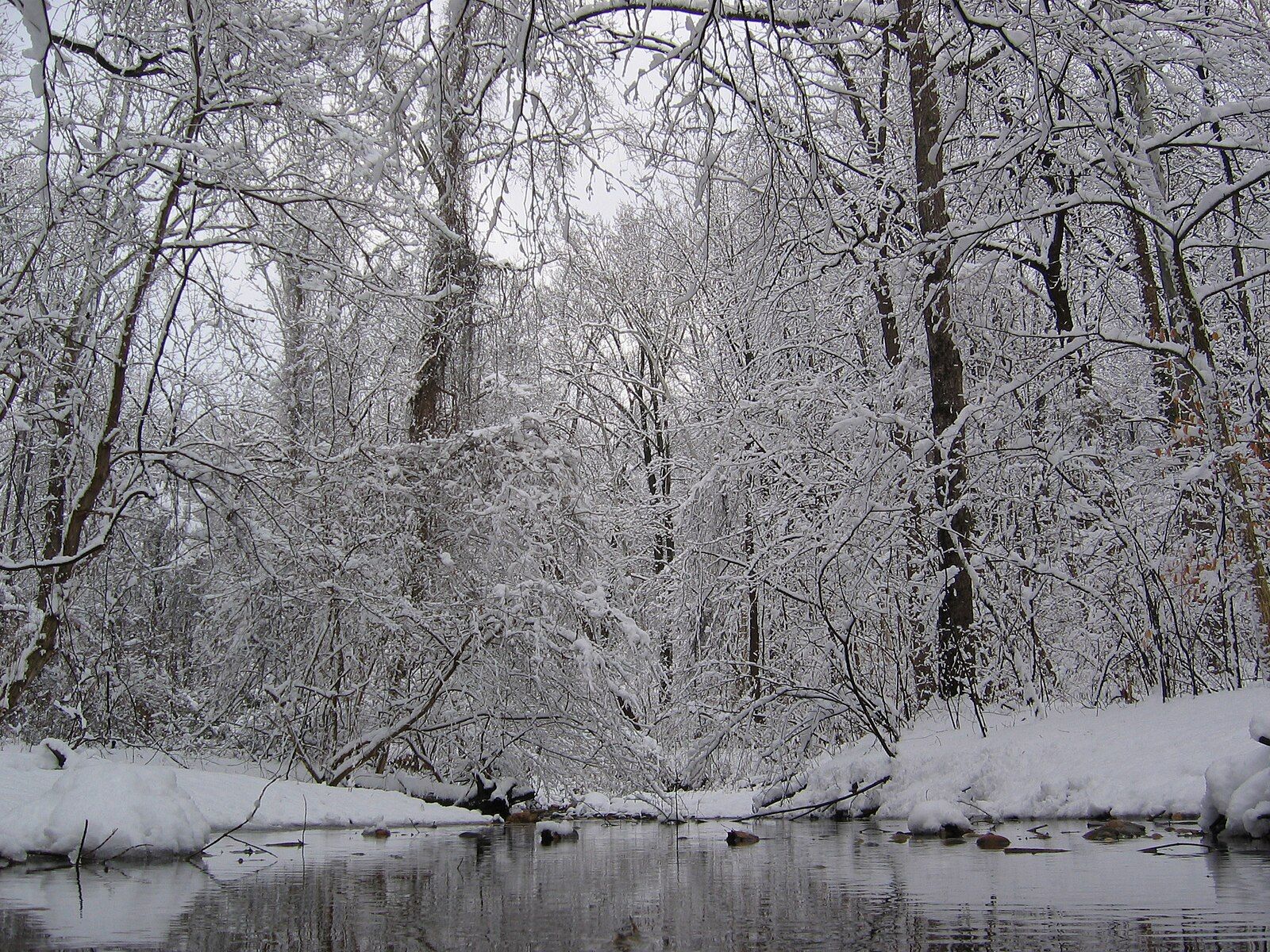 A snow-covered forest surrounds a dark stream on an overcast day. - Glover-Archbold Trail