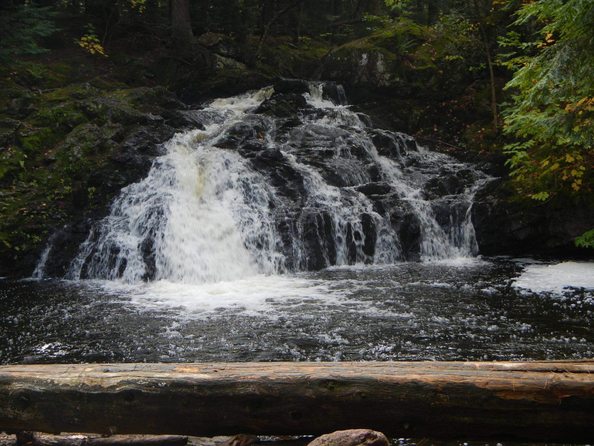 Lush forest surrounds a cascading waterfall flowing over dark rocks.