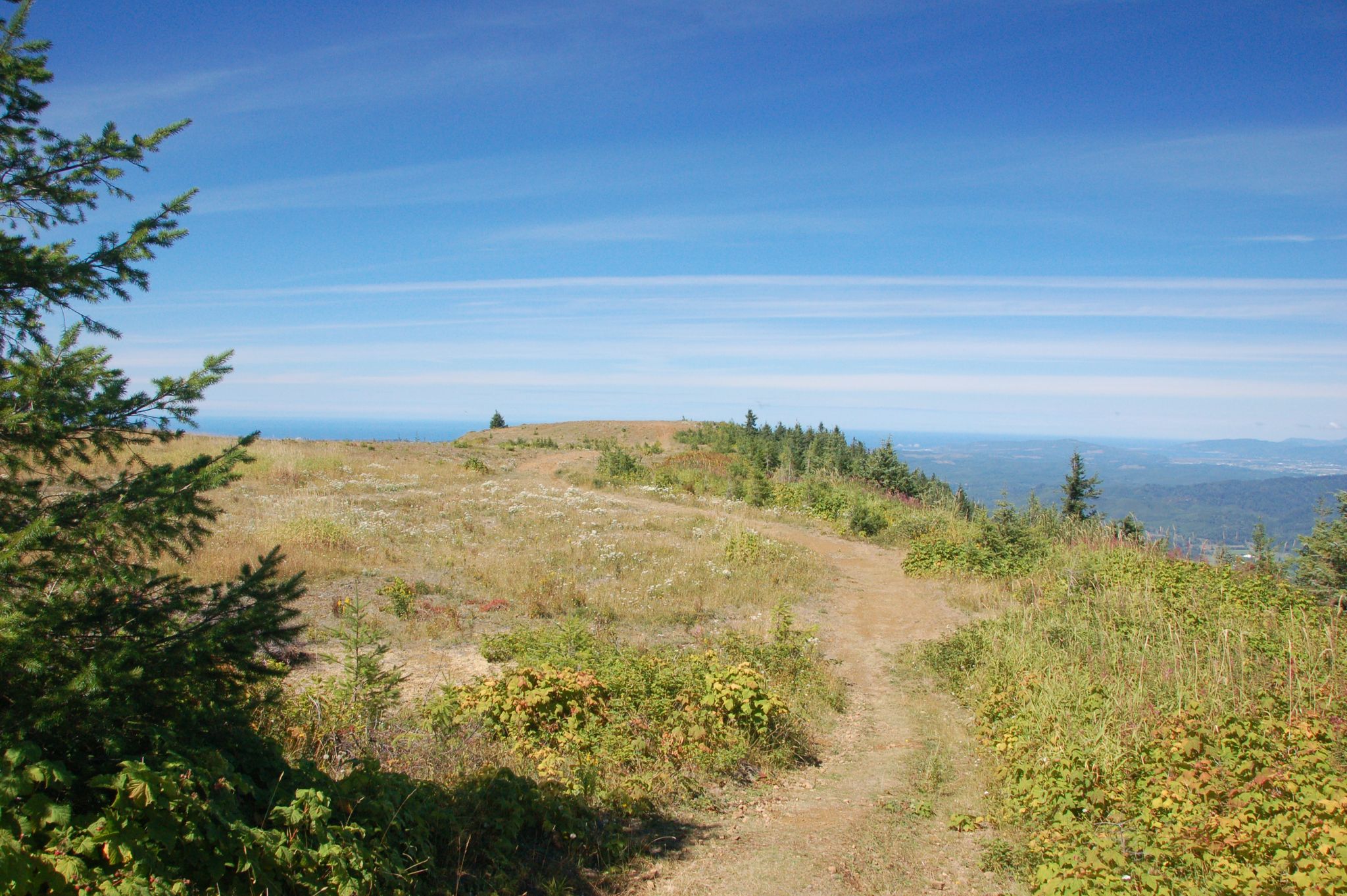 A dirt path ascends a sunny, grassy hilltop with distant views. - Pioneer-Indian Trail