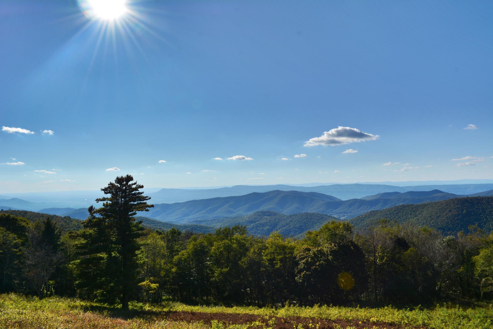 Expansive mountain vista under a bright sunny sky with foreground trees.