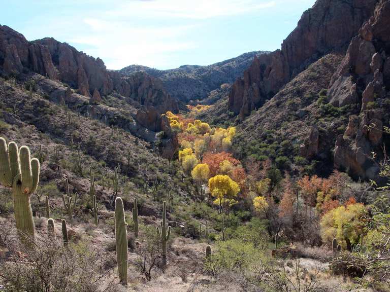 Redfield Canyon Cliff House — Coronado National Forest Wanderung Komoot