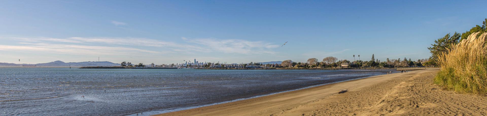 Panoramic sandy beach with calm water, distant city, and golden grasses under blue sky.