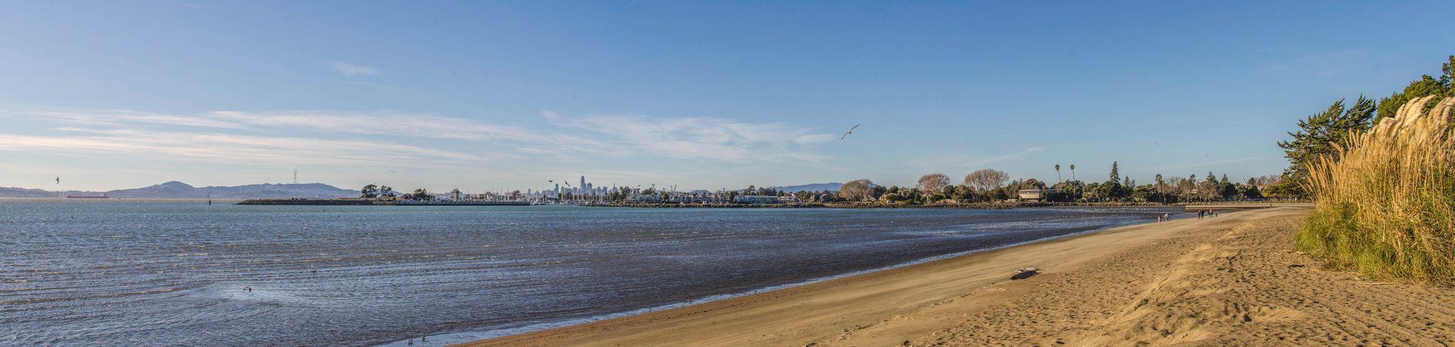 Panoramic sandy beach with calm water, distant city, and golden grasses under blue sky. - Bike loop from Alameda