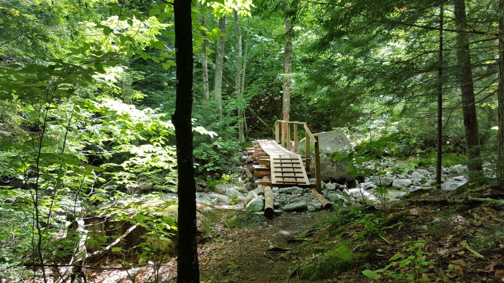 A wooden footbridge crosses a rocky stream in a sun-dappled forest.