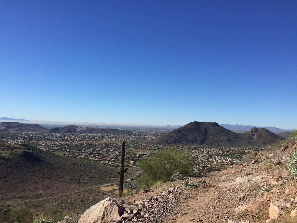 Desert landscape with saguaro cactus overlooking a city under a clear sky.